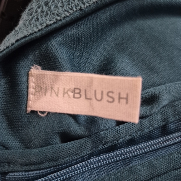 PinkBlush Teal Lace Mesh Overlay Plus Maternity Dress Size 3XL - Picture 9 of 12